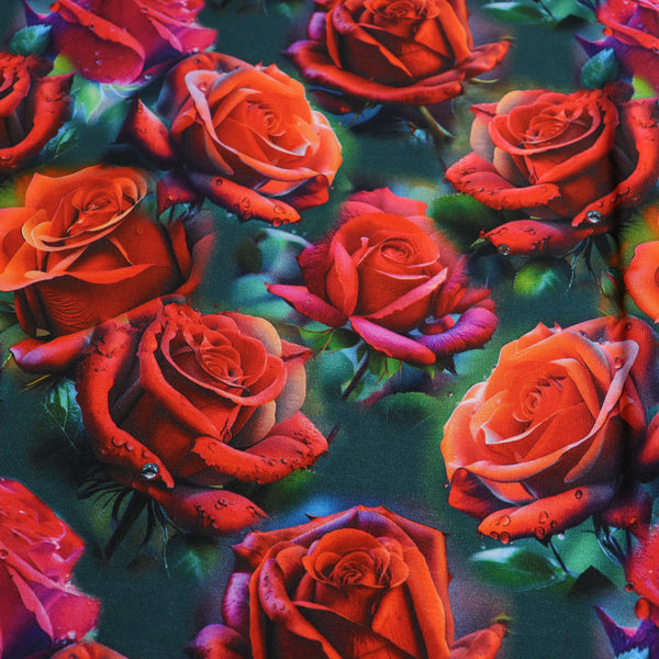 Roses de l'Amour - Coton Spandex 240 gsm - Coupon