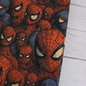 Spidey's Crowd