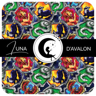 School of Witchcraft and Wizardry